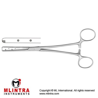 Emmet Dressing Forcep Straight Stainless Steel, 21 cm - 8 1/4"